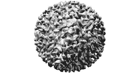 Illustration of Hepatitis