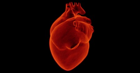 Illustration of Cardiology