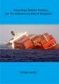 Book cover: Actual Ships Stability Problems and The Influence on Safety of Navigation