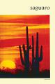 Book cover: Saguaro National Monument, Arizona