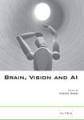 Book cover: Brain, Vision and AI