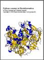 Small book cover: Python course in Bioinformatics
