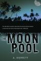 Book cover: The Moon Pool