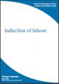 Small book cover: Induction of Labour: Clinical Guideline