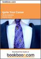Book cover: Ignite Your Career: The New Grads Bible