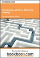 Book cover: Developing an Internet Marketing Strategy