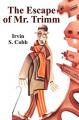 Book cover: The Escape of Mr. Trimm