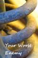 Book cover: Your Worst Enemy