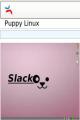 Book cover: Puppy Linux