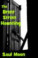 Book cover: The Brent Street Haunting