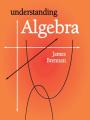 Book cover: Understanding Algebra