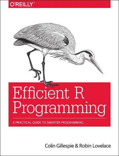 Large book cover: Efficient R Programming