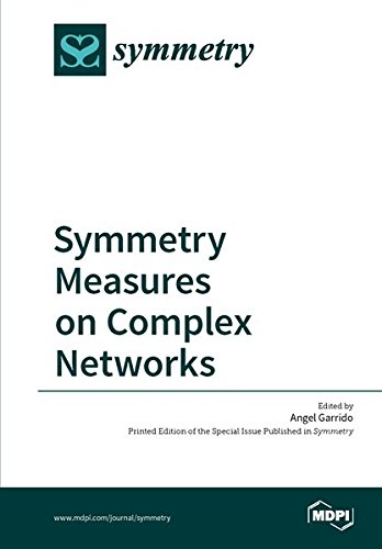 Large book cover: Symmetry Measures on Complex Networks