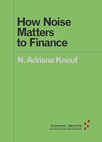 Large book cover: How Noise Matters to Finance