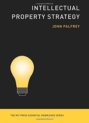 Large book cover: Intellectual Property Strategy