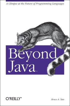 Large book cover: Beyond Java