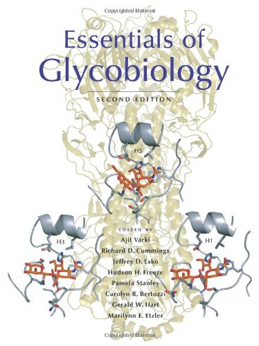 Large book cover: Essentials of Glycobiology
