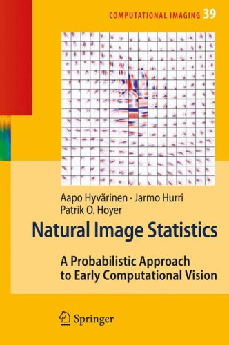 Large book cover: Natural Image Statistics