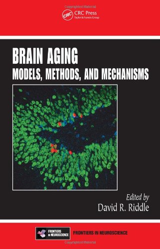 Large book cover: Brain Aging: Models, Methods, and Mechanisms