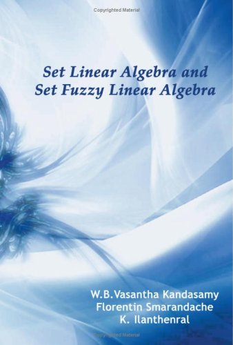 Large book cover: Set Linear Algebra and Set Fuzzy Linear Algebra