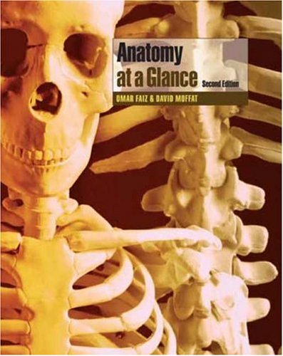 Large book cover: Anatomy at a Glance