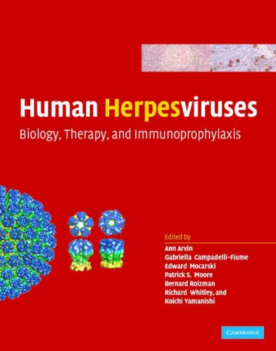 Large book cover: Human Herpesviruses: Biology, Therapy, and Immunoprophylaxis
