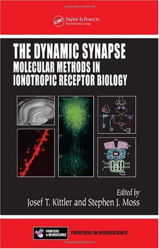 Large book cover: The Dynamic Synapse: Molecular Methods in Ionotropic Receptor Biology