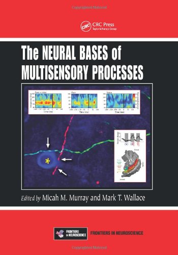 Large book cover: The Neural Bases of Multisensory Processes