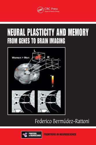 Large book cover: Neural Plasticity and Memory: From Genes to Brain Imaging