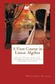Book cover: A First Course in Linear Algebra: Study Guide for the Undergraduate Linear Algebra Course