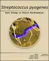 Book cover: Streptococcus pyogenes: Basic Biology to Clinical Manifestations