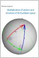 Book cover: Multiplication of Vectors and Structure of 3D Euclidean Space
