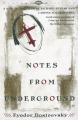 Book cover: Notes from the Underground