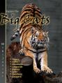 Book cover: Big Cats