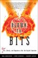 Book cover: Blown to Bits