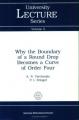 Book cover: Why the Boundary of a Round Drop Becomes a Curve of Order Four