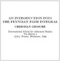 Book cover: An Introduction into the Feynman Path Integral