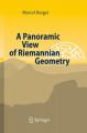Book cover: A Panoramic View of Riemannian Geometry