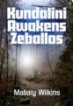 Small book cover: Kundalini Awakens Zeballos