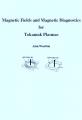 Book cover: Magnetic Fields and Magnetic Diagnostics for Tokamak Plasmas