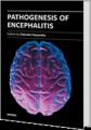 Small book cover: Pathogenesis of Encephalitis