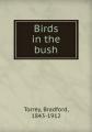 Book cover: Birds in the Bush
