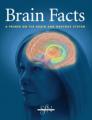 Small book cover: Brain Facts