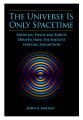 Book cover: The Universe is Only Spacetime