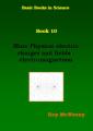 Small book cover: More Physics: electric charges and fields - electromagnetism