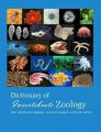 Book cover: Dictionary Of Invertebrate Zoology