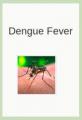 Small book cover: Dengue Fever