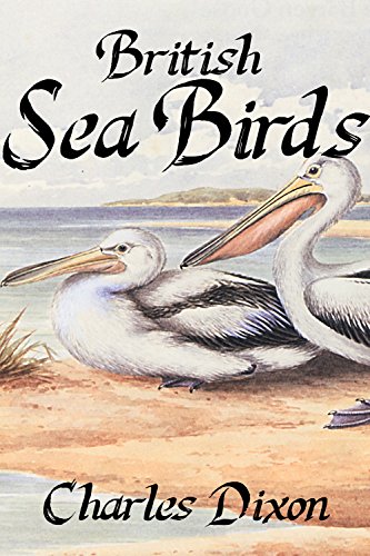 Large book cover: British Sea Birds