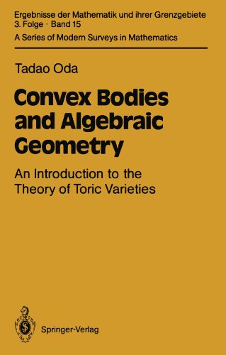 Large book cover: Convex Bodies and Algebraic Geometry