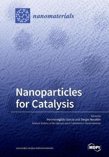 Large book cover: Nanoparticles for Catalysis